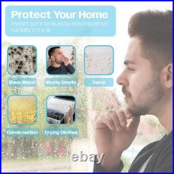 Prem-I-Air 20L Compressor Dehumidifier -Quiet -Timer -4 Litre Tank EH1934